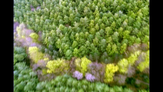 2015 Ford Expedition near Atascadero from Paso Robles Ford