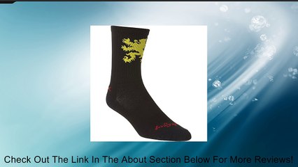 SockGuy SGX6 Gold Lion Socks - Men's Review