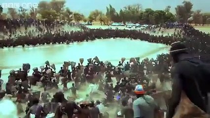 Whimsical folk قوم غريب الاطوار