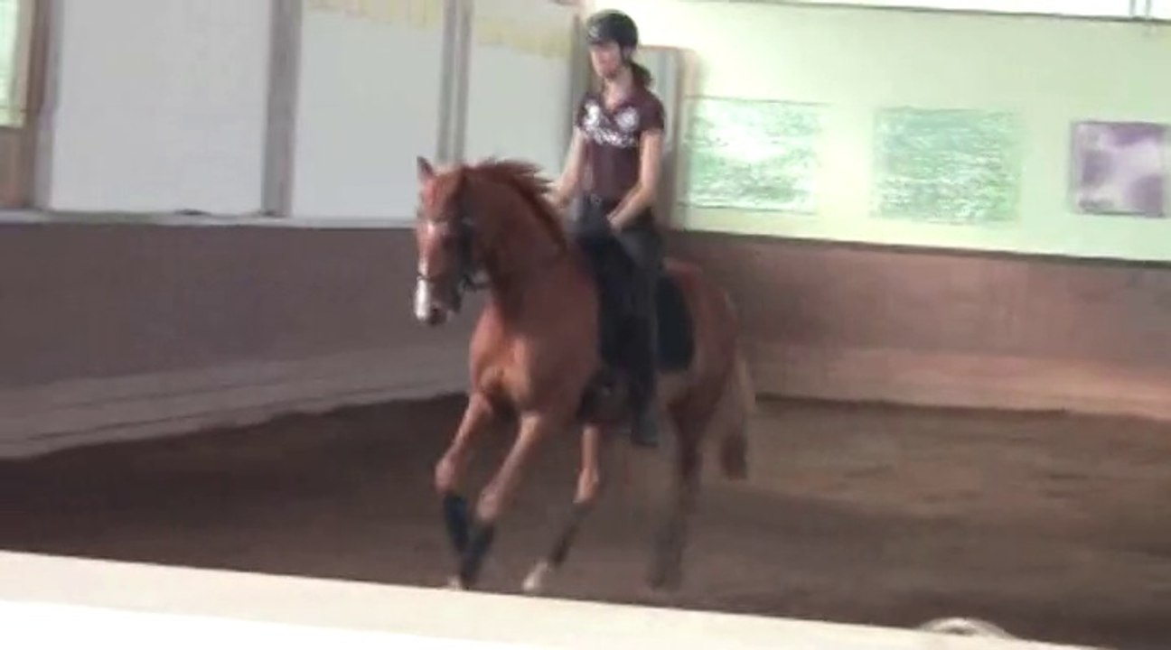 Stage de dressage avec Pierre Beaupère - 28 septembre 2014 - Jour 2 partie 2