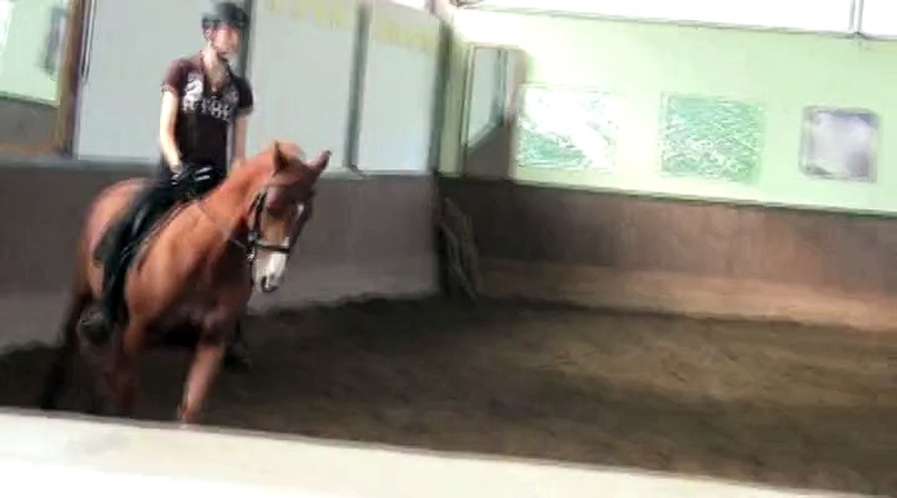 Stage de dressage avec Pierre Beaupère - 28 septembre 2014 - Jour 2 partie 4