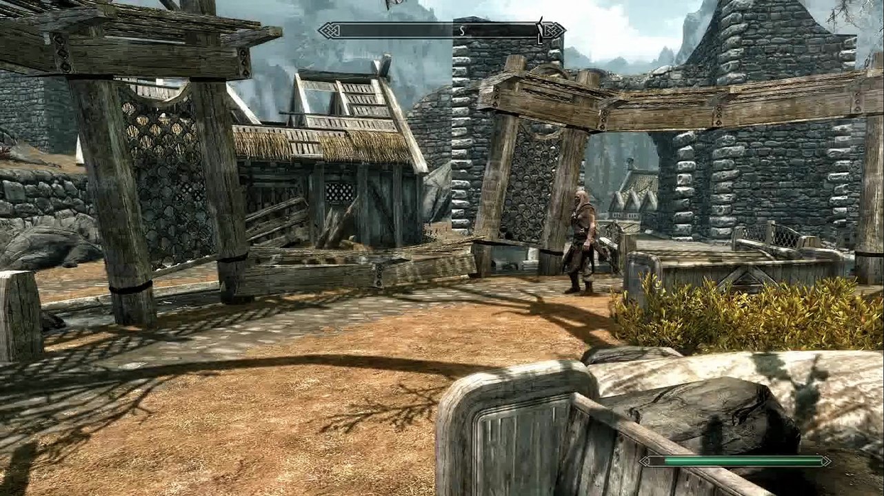 Skyrim 113