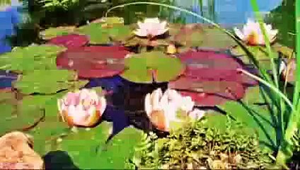 Bóg kontra nauka. Odc.2. Życie i ewolucja