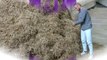 Man Finds Needle In Haystack, Ruins That Saying Forever