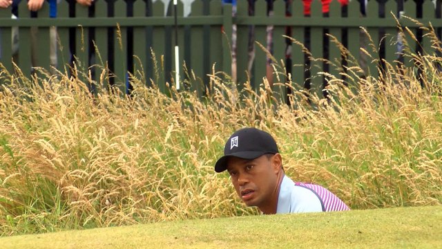 Daly wants Woods or Mickelson as captain