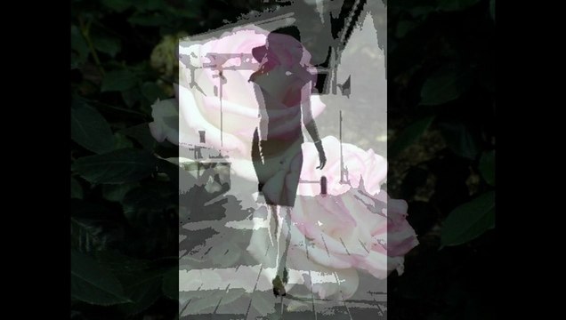 石川セリ　ハウ・メニー・ライズ. ワン・シング・オン・マイ・マインド