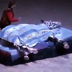 Don't Distrube me Im Sleeping Funny Horse