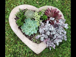 Kaisy btaoon main tumhey- Urdu Poetry recited by (Raja Waqas)