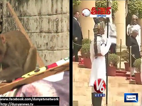 Dunya news-Gibbons to guard Indian President to save him from mischievous monkeys