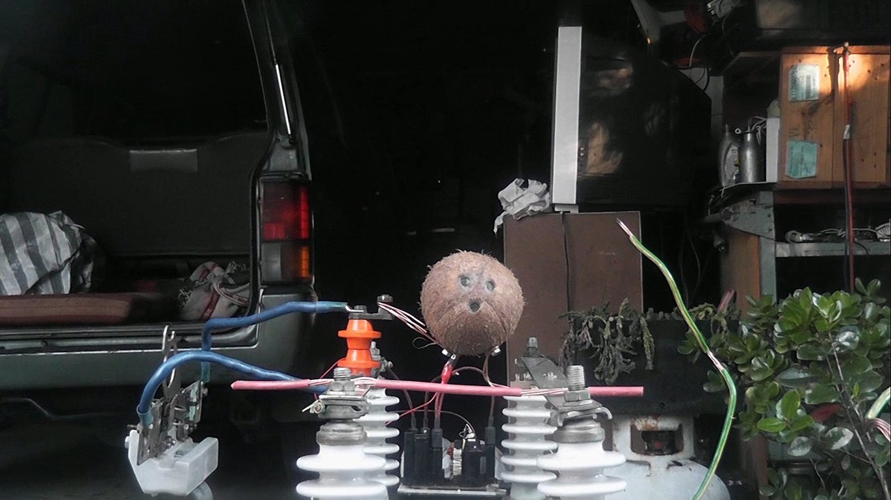 Coconut Fruit v 10000 Volts