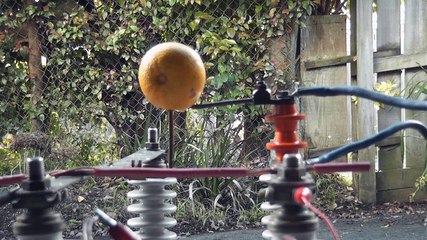 Exploding Grapefruit