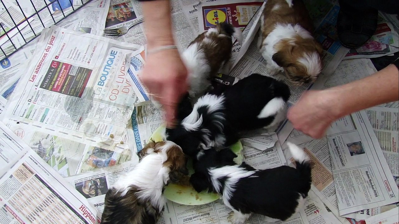 1er BOUILLIE BB BISOU WAN