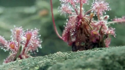 Some Thing So Much Beautiful In Our Planet