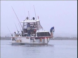 PÊCHE : La pêche au thon à Gruissan