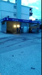 Crazy guy washing his dog in Car wash station