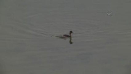 Van Gölü'nde Çekilme 2 Metreyi Geçti