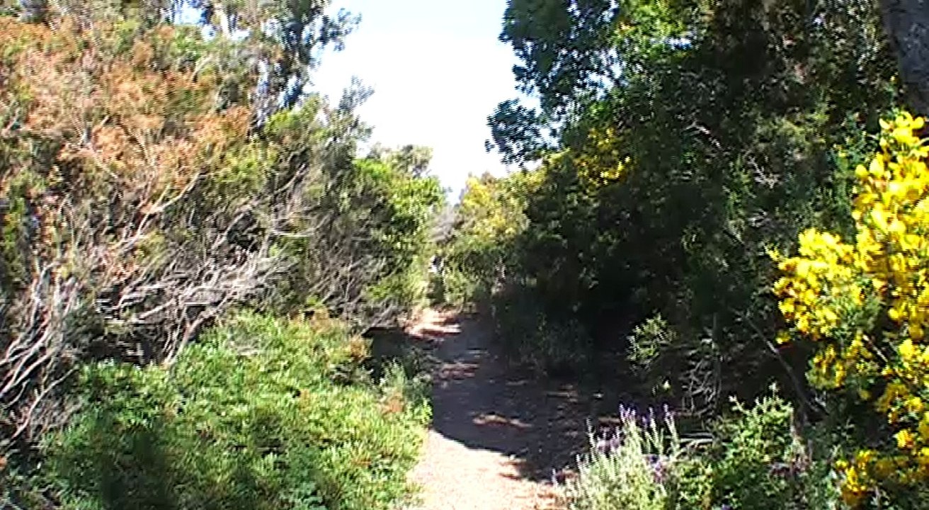 2008-2009 rando cap benat