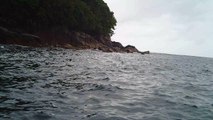 Mares, Cavernas submarinas, Litoral Norte, Paulista, SP, Brasil, mergulhos de observação marinha em apneia, show nos mares,  parte 14