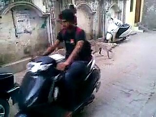 Is this the Way to Treat a Animal ??