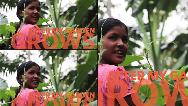 Aamir Khan hosts screening of After My Garden Grows