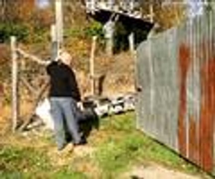 Ayı saldırılarına karşı Karadeniz usulü çözüm