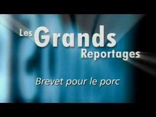 Monsanto pur porc IV