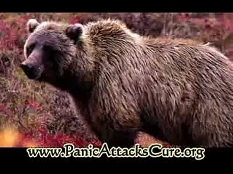 Stop Panic Attacks and Overcome the Panic Puzzle