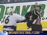 NHL - top5 hockey stars fights
