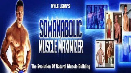 The Muscle Maximizer WOW The Muscle Maximizer