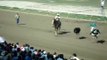 Hilarious Ostrich Race- Spinning Ostrich