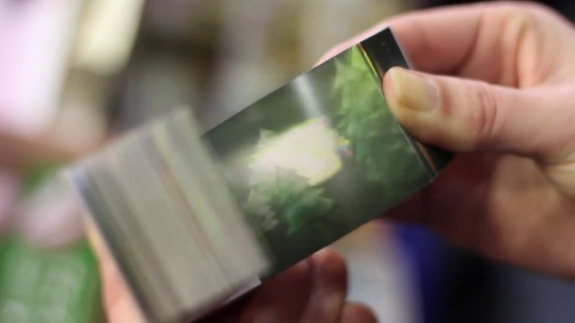 Amazing Japanese Flip Books