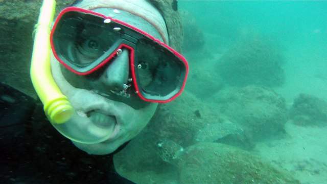 Mergulho de profundidade livre em apneia, Natureza Marinha, Peixe Frade, Moreia Verde Gigante, Tartaruga gigante, Corais, Peixes, Cavernas Submarinas, Estrelas, Ouriços, Ubatuba, SP, Brasil, Litoral Norte, Marcelo Ambrogi, Ilhas indômitas, Parte 059
