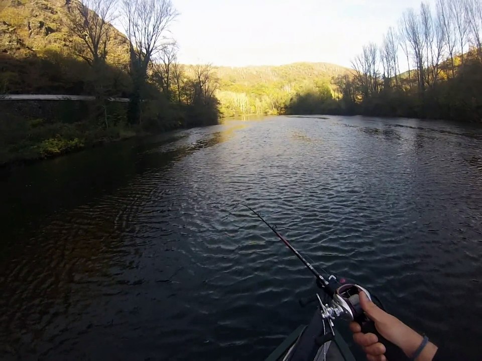 Brochet et perche