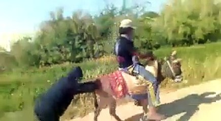 Dunki start funny video.adnan sajan