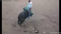 Jaripeo Rodeo Con Toros Salvajes Negros y Jinetes Valientes Con Espuelas Nov 2014 Lienzo Charro Mexico