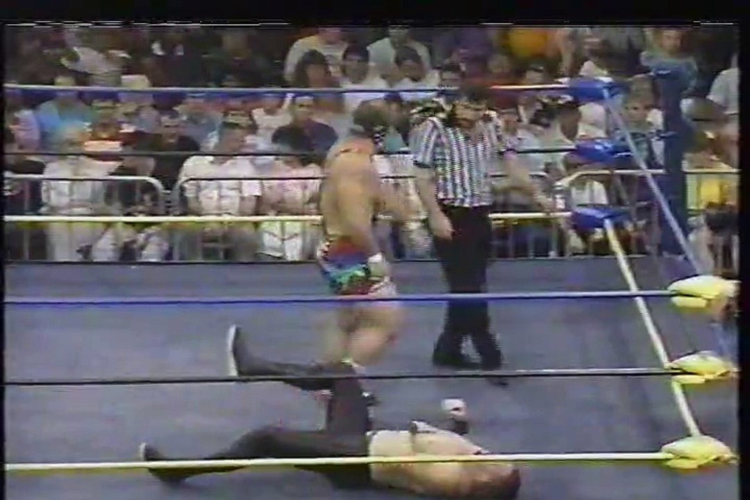 WCW Pro 1991-11-16