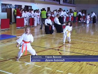 „Makoto“ karate kup, 15. novembar 2014. (RTV Bor)