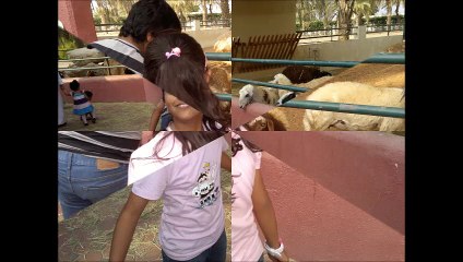 Sharjah.Zoo