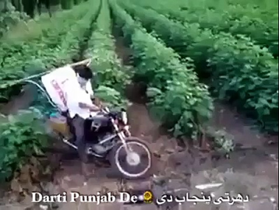 Funny videos