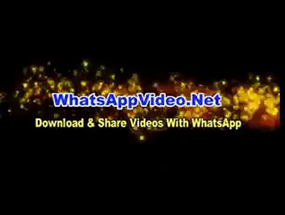 Funny videos
