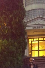 Deniz Seki İstanbul'da Yakalandı