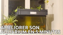 Produire sa nourriture en appartement - cultiver légumes indoor