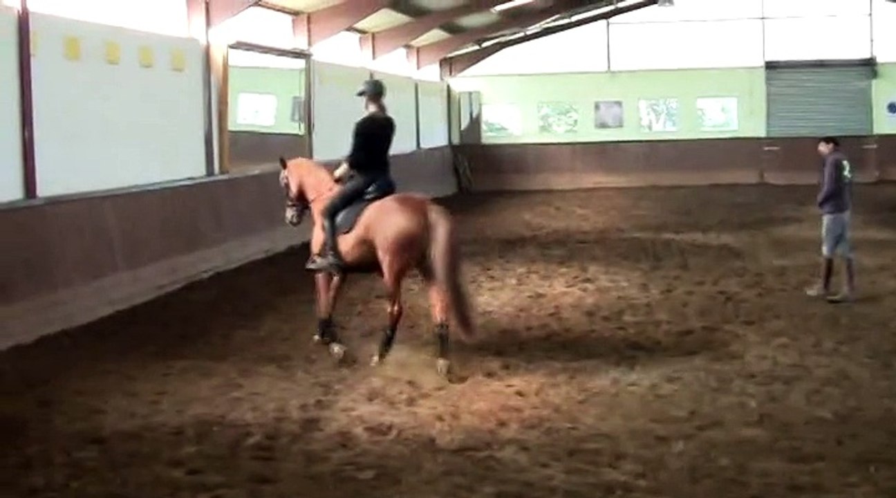 Stage de dressage avec Pierre Beaupère - 27 septembre 2014 - Jour 1 partie 5
