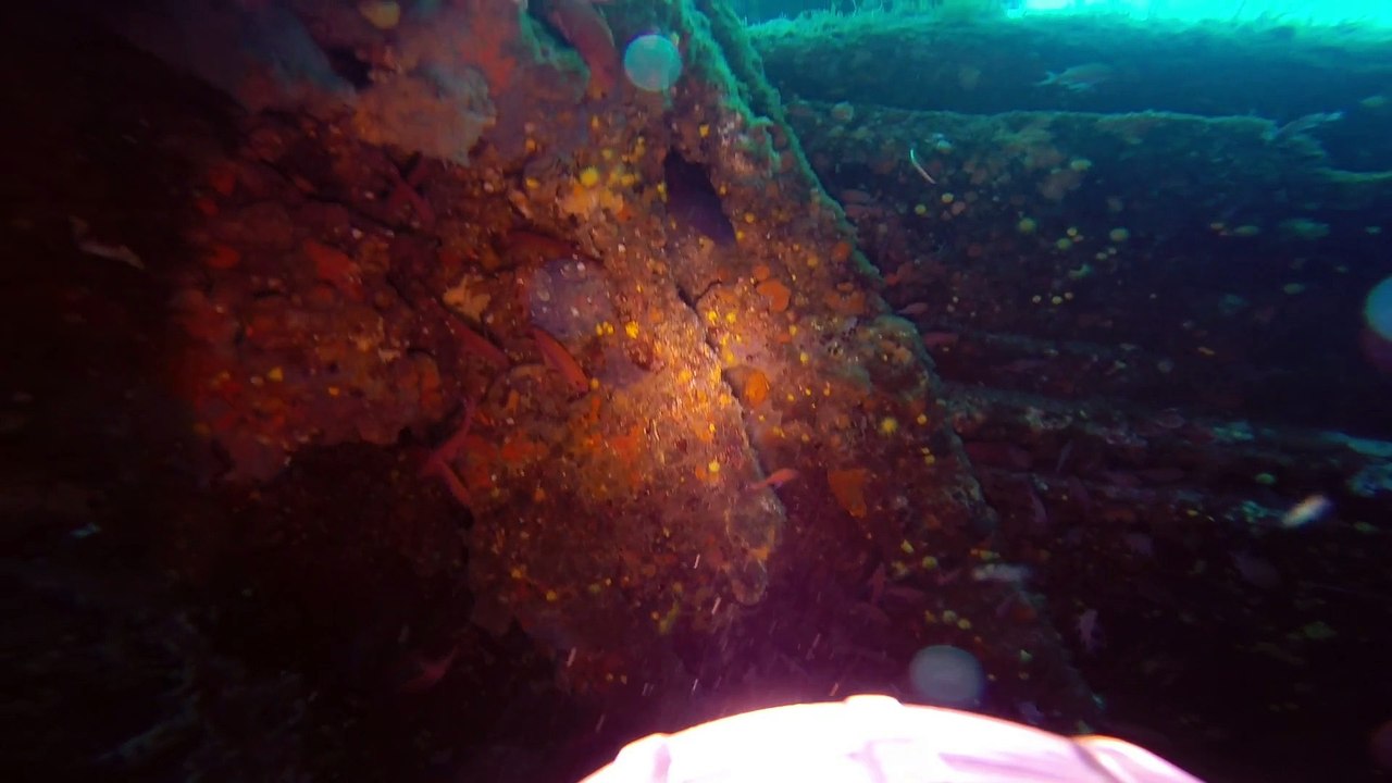 plongée sur le dalton