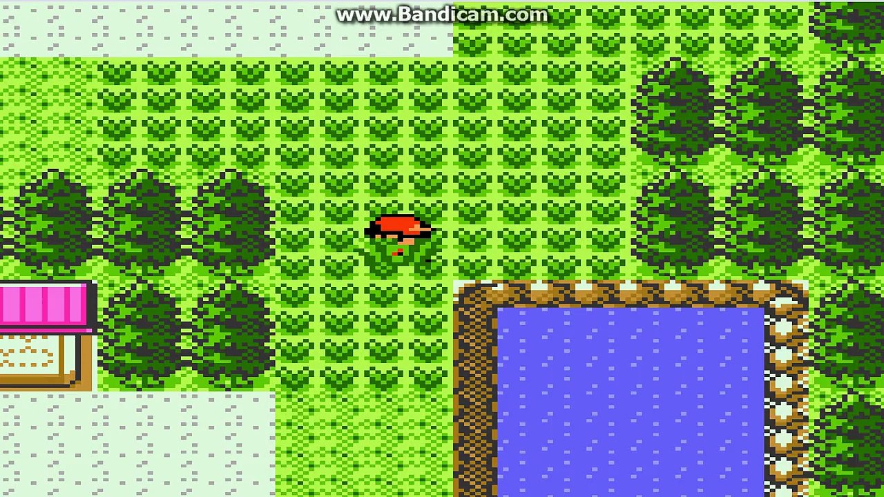 POKEMON OR Episode 2:  25 VUE un bon début :)