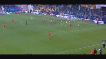 Stevan Jovetić | gol iz penala za 1-1 /kval. za EP u fudbalu Crna Gora vs Švedska 15/11/2014)