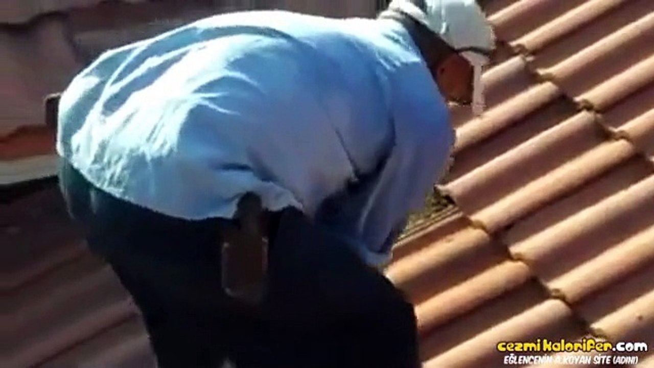 Çatının Altından Yüzlerce Yarasa Çıkması
