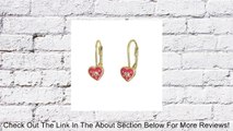 Gold Finish Hot Pink Enamel Heart with Crystal Baby Kids Girls Teens Leverback Earrings Review