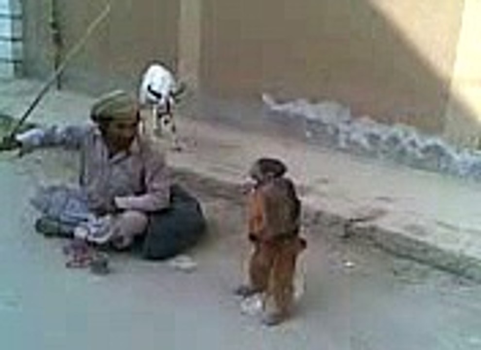 پہاڑی بکرا