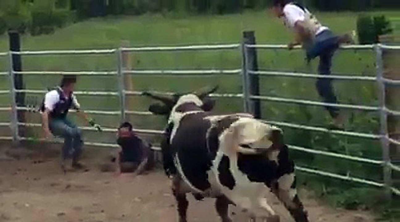 OMG CrAzy GoaT